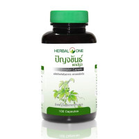 Gynostemma Five Leaf Extract Jiaogulan (Herbal One) - 100 caps. Gynostemma Five Leaf Extract Jiaogulan (Herbal One) - 100 caps.