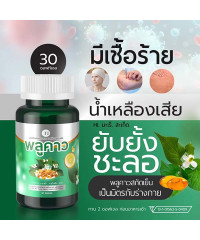 Capsules from eczema and rash on the skin ( SN9 เอสเอ็นไนน์)- 30 capsule