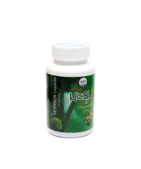 Phytopreparation Moringa capsules (Konga Herb) - 100 capsules.