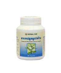 Phytopreparation Phyllanthus diuretic (Herbal One) - 100 capsules.