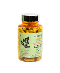 Phytopopreporation Marum (Thongtong Brand) - 100 capsules.
