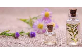 The role and influence of essential oils in aromatherapy and relaxation