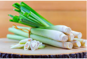 Lemongrass: beneficial properties and applications