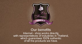 Our advantages