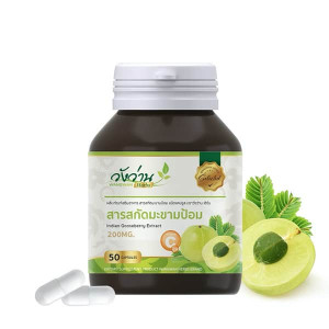 Gooseberry Extract (Wangwan Herbs) - 50 capsules. Gooseberry Extract (Wangwan Herbs) - 50 capsules.