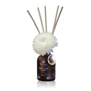 The Book Of Scents Tropical Island (Organique) - 50ml.