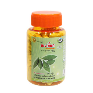 Phytopopreporation Bitter Cucumber (Thongtong Brand) - 100 capsules.