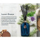 Lucent Breeze Aromatherapy Reed Diffuser (Mt.Sapola) -  100 ml.