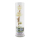 Rattan stalks conditioning (Organique) - 50ml.