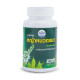 Kidney Treatment Capsules Cat Whiskers (Kongka Herb) - 100 caps.