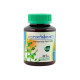 Phytopreparation pills for hemorrhoids (Khaolaor) - 42 tab. Phytopreparation pills for hemorrhoids (Khaolaor) - 42 tab.