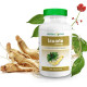 Ginseng Extract (Herbal One) - 100 caps Ginseng Extract (Herbal One) - 100 caps