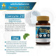 Ginkgo CO-Q10 (Clover Plus) - 30 tablets. Ginkgo CO-Q10 (Clover Plus) - 30 tablets.