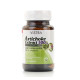 Artichoke Extract 500 mg (Vistra) - 30 capsul.